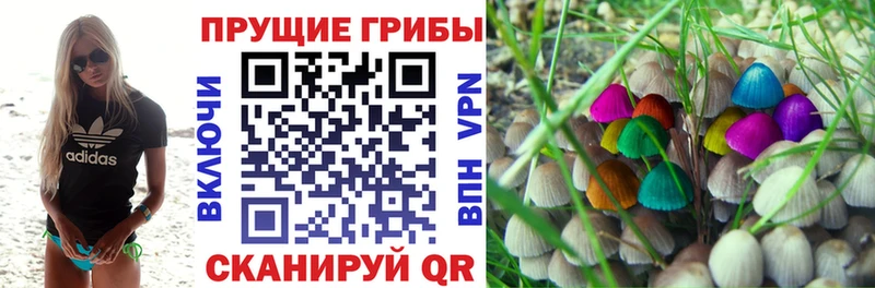 Галлюциногенные грибы GOLDEN TEACHER  Котово 